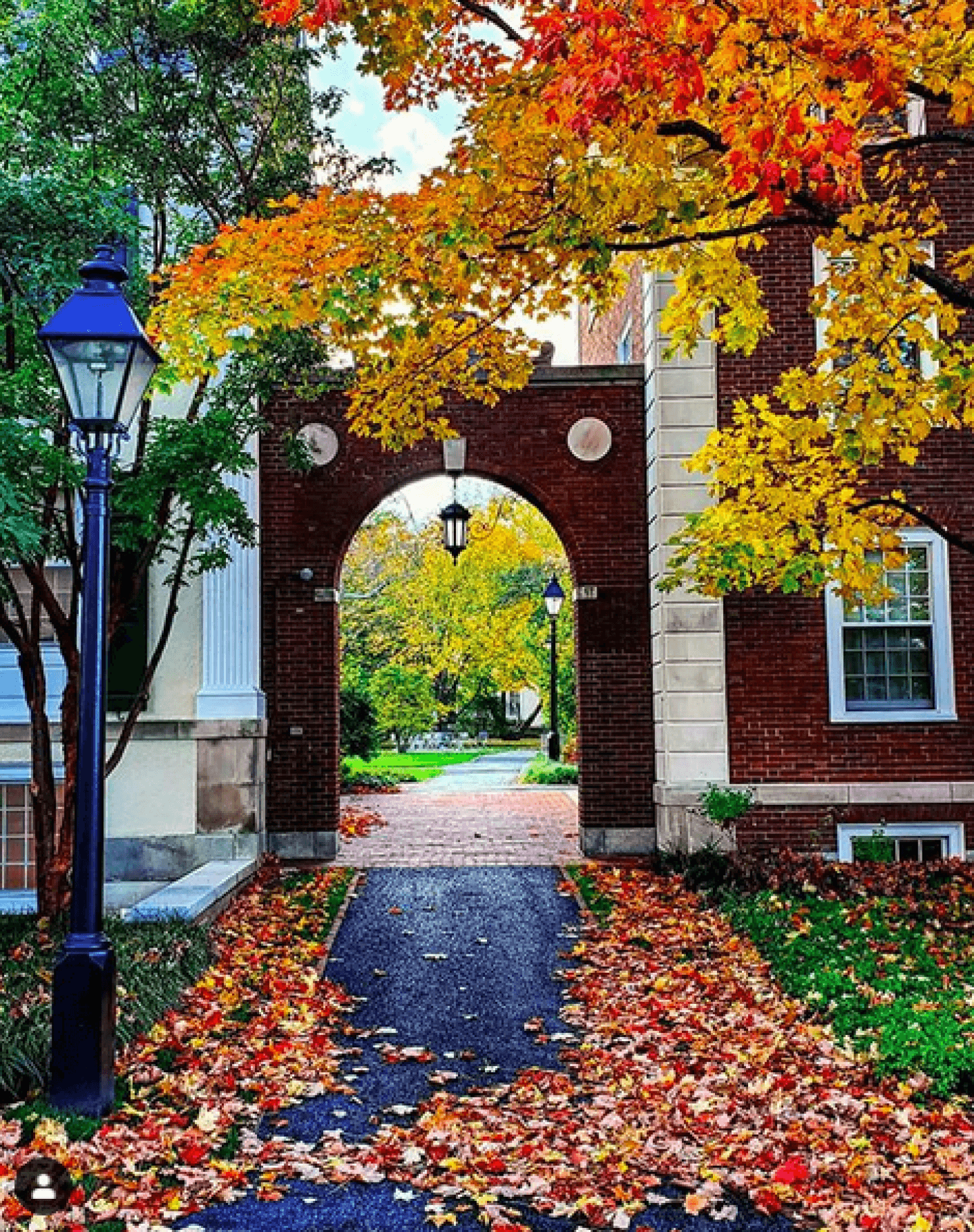 Harvard in Autumn Harvard John A. Paulson School of Engineering and